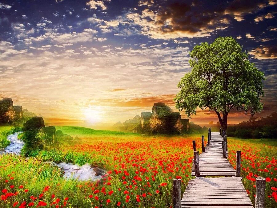 Uk nature. Баннер с видом природы. Scenery to remember. Пейзаж. Прекрасная природа.