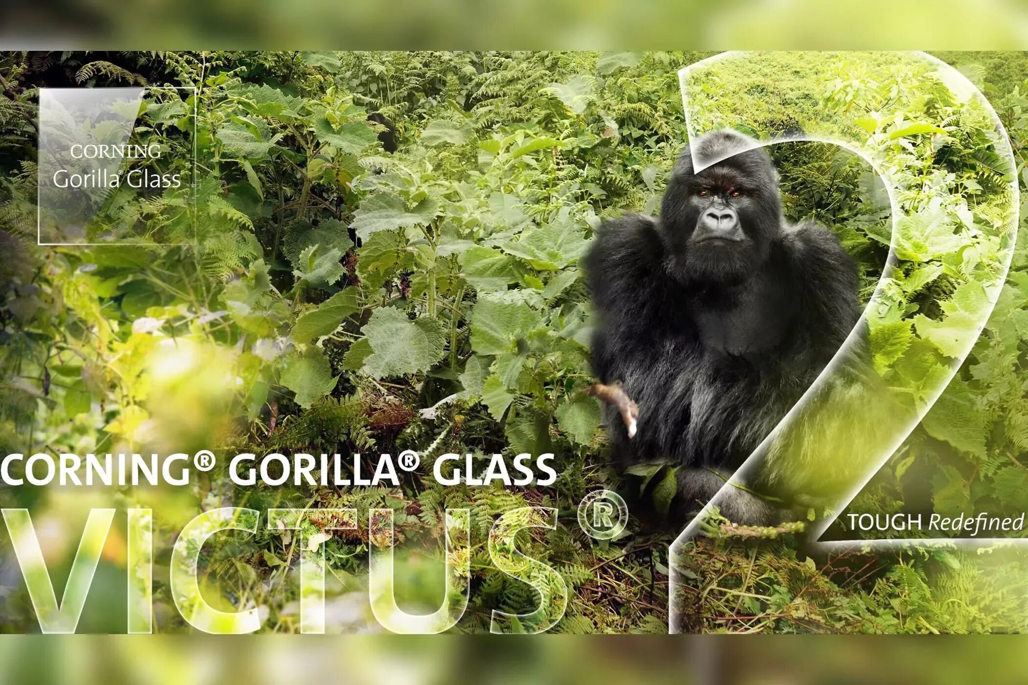 Стекло Gorilla Glass Victus. Gorilla Glass Victus 2. Corning Gorilla Glass Victus. Самсунг горилла Гласс. Corning gorilla victus