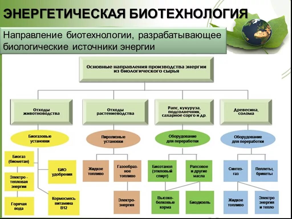 Важность биотехнологии. Микроводоросли биотопливо. Микроводоросль хлорелла биотопливо. Химическая промышленность. Биотехнологии энергетика.