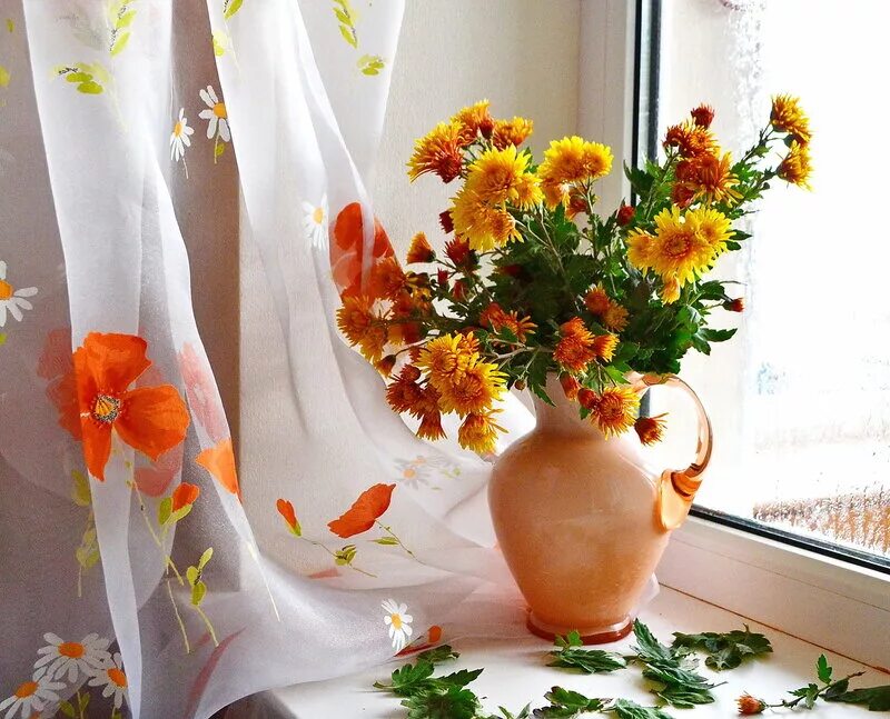 осенние открытки. сентябрьские цветы. с добрым осенним утром. открытки доброе солнечное осеннее утро. открытки с добрым утром осенние.