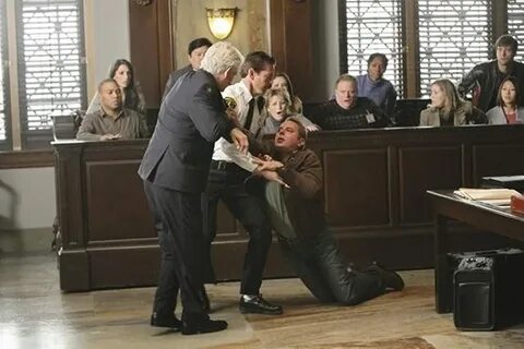 See law