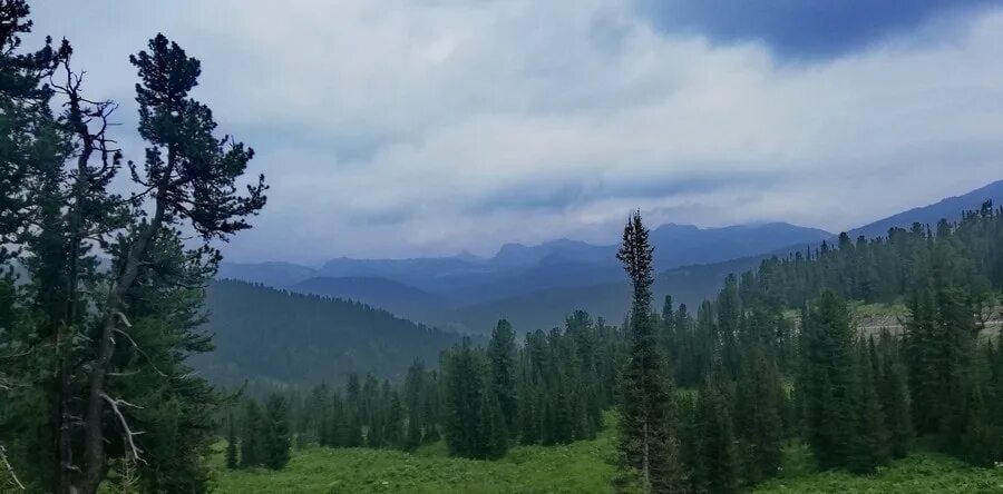Край густо. Ресторан gusto a gusto краснодар. Gusto адлер. Джусто густо нижневартовск. Ах тас казановка.