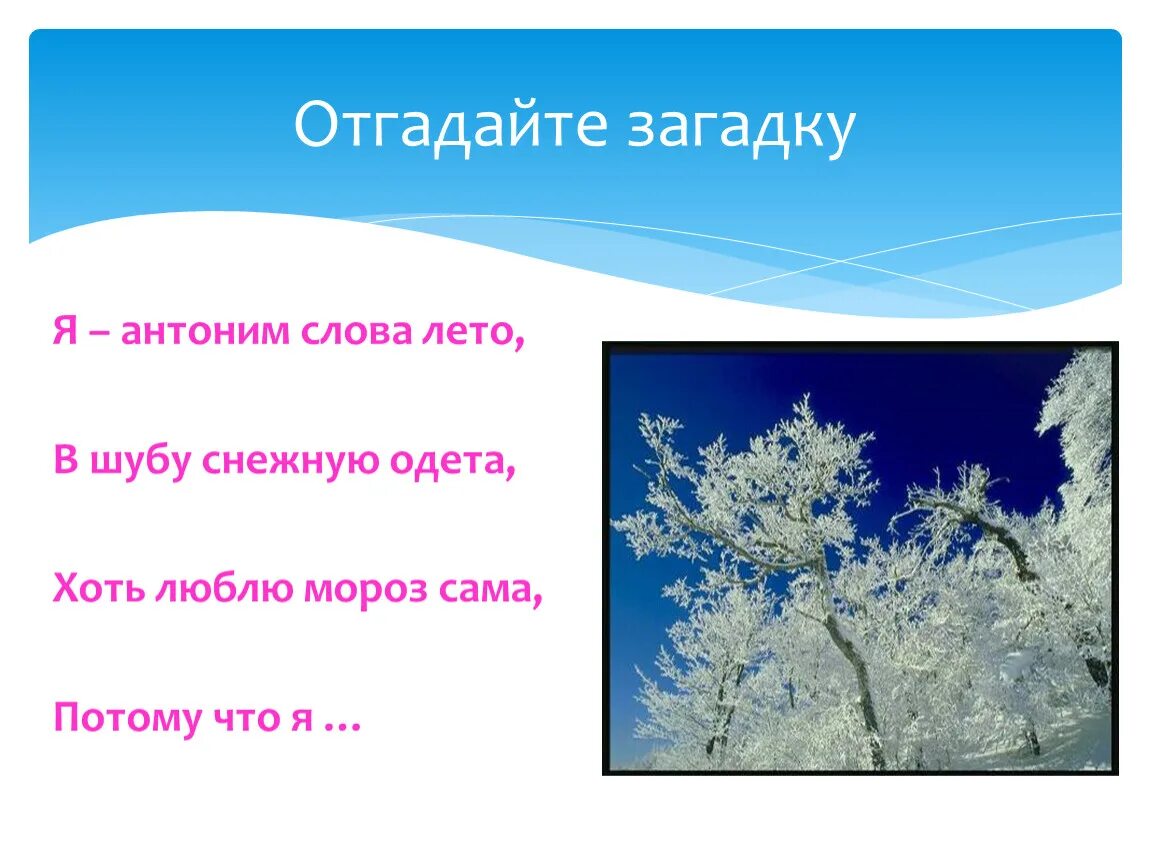 Синоним к слову летом. Загадки с антонимами. Антонимы к слову снег. Загадка к слову лето. Загадки про синонимы и антонимы.