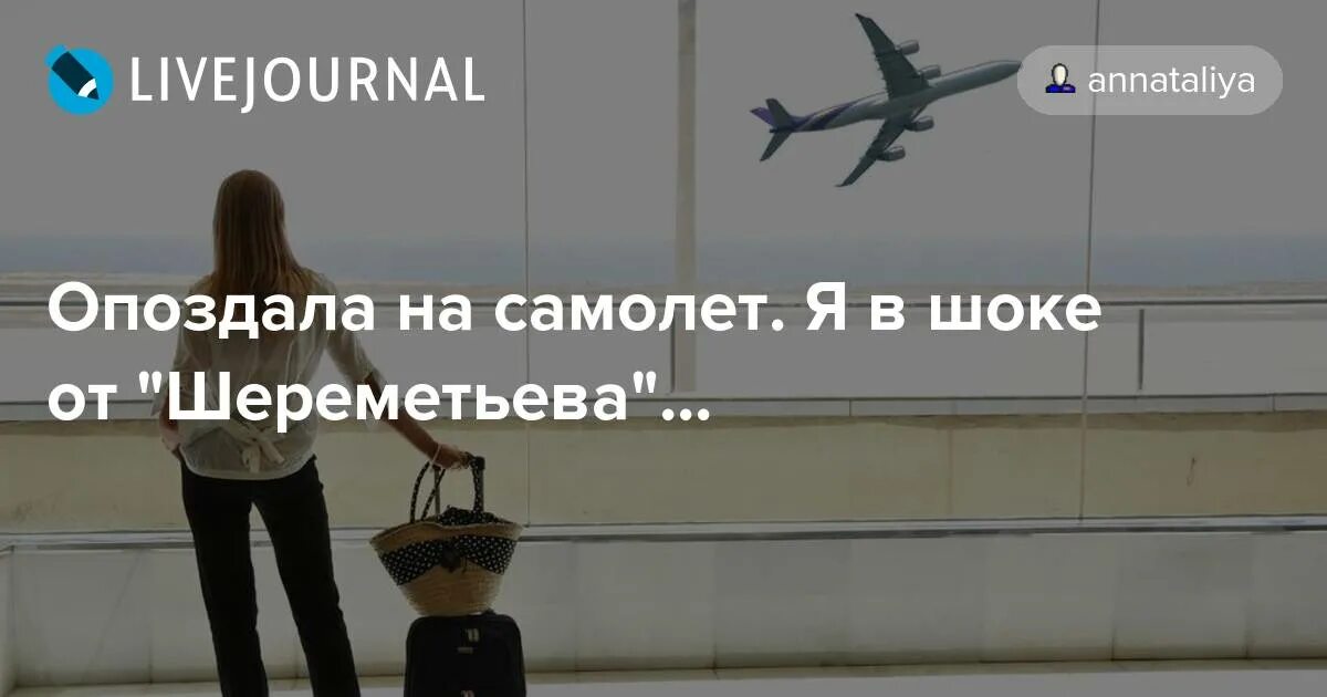 К чему снится сон опаздывать на самолет. Если опоздал на самолет. Опоздал на регистрацию на самолет. Если опоздал на регистрацию в самолет. Опоздал на самолет Мем.