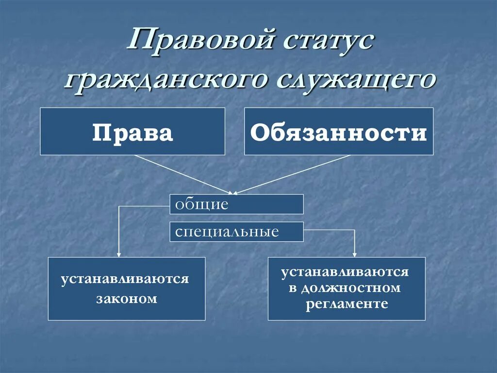 Гражданский статус. Правовой статус государственных служащих. Правовое положение гражданского служащего. Правовой статус госслужащего. Статус государственного гражданского служащего.