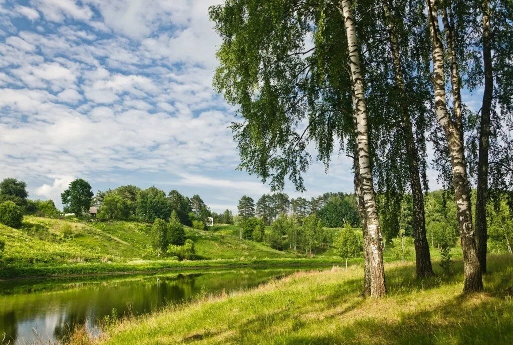 Средняя полоса страны. Брянск река Березка. Природа лес река Березки. Природа деревня речка Березки. Березовая роща деревня река.