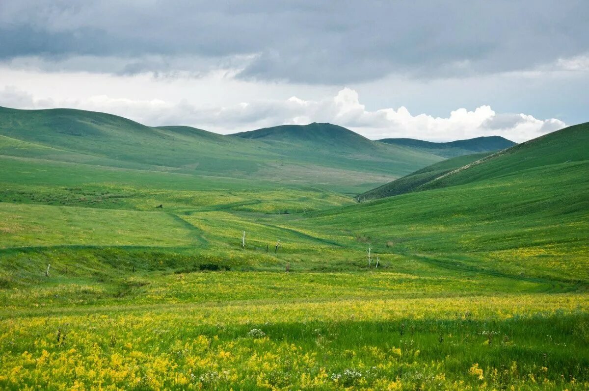 Приханкайская низменность. Равнины дальнего. Саскачеван прерии. Равнины дальнего. Ханкайская долина приморский край.