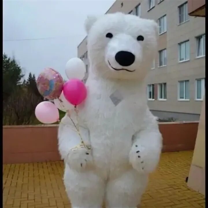 Большой белый медведь аниматор. Костюм белого медведя надувной. Белый мишка надувной. Белый мишка ростовая кукла. Ростовая кукла белый медведь.
