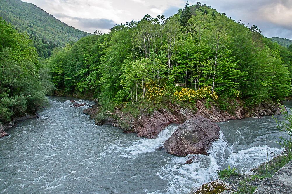 White river. Заповедник Гузерипль Адыгея. Белая река Гузерипль. Заповедник Адыгея Гузерипль белая река. Гузерипль горы заповедник.