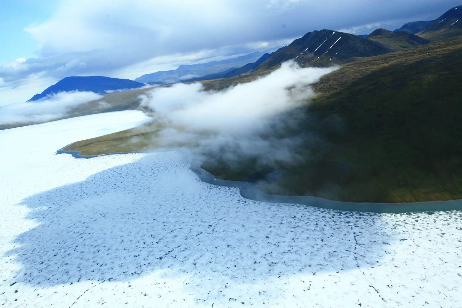 Фон арктика для детей. Северный ледовитый океан белый медведь. Белые медведи в антарктиде. Арктика 3d. Арктика 3d.