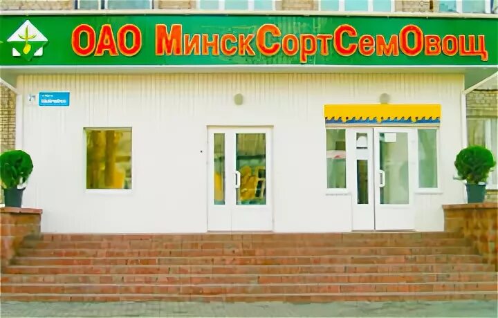 Сайт сортсемовощ минск