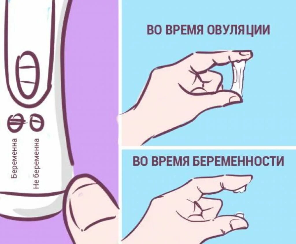 Выделения после овуляции по дням. Выделения ариовуляции. выделения приовудяции. как понять овуляцию по выделениям. выделения при овуляции.