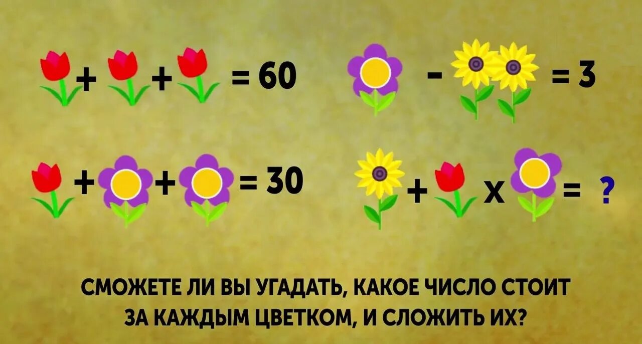 Числовые цветочки. Отгадай число по картинке. Головоломки сосчитай цифры. Примеры с картинками вместо чисел. Отгадать сколько лет