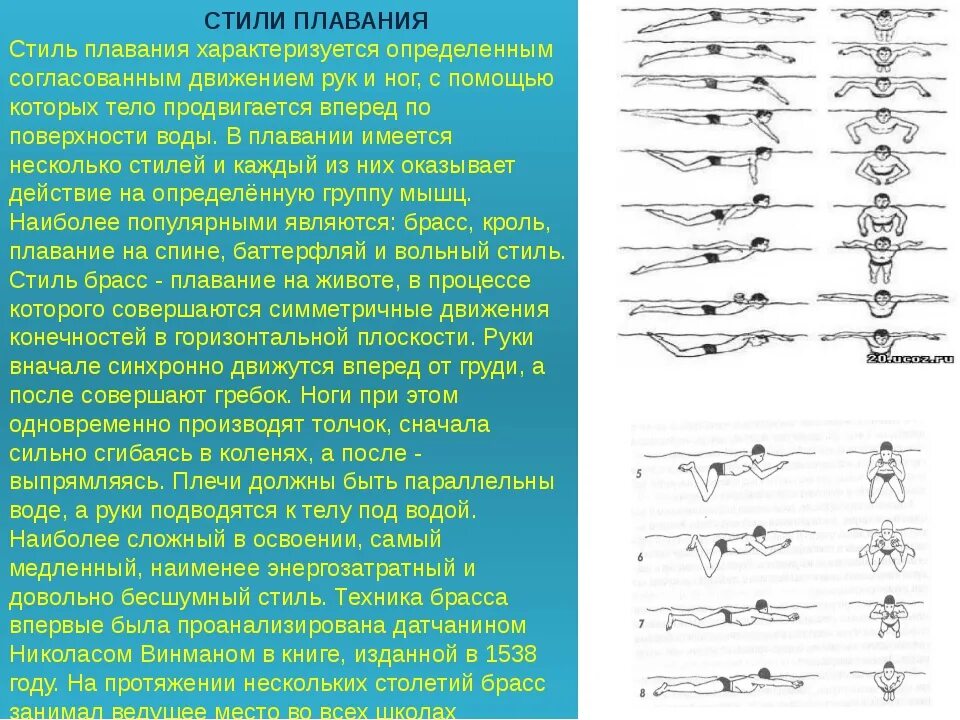 Какие движения происходят. Стили плавания. Способы плавания. Способы плавания названия. Разные стили плавания.