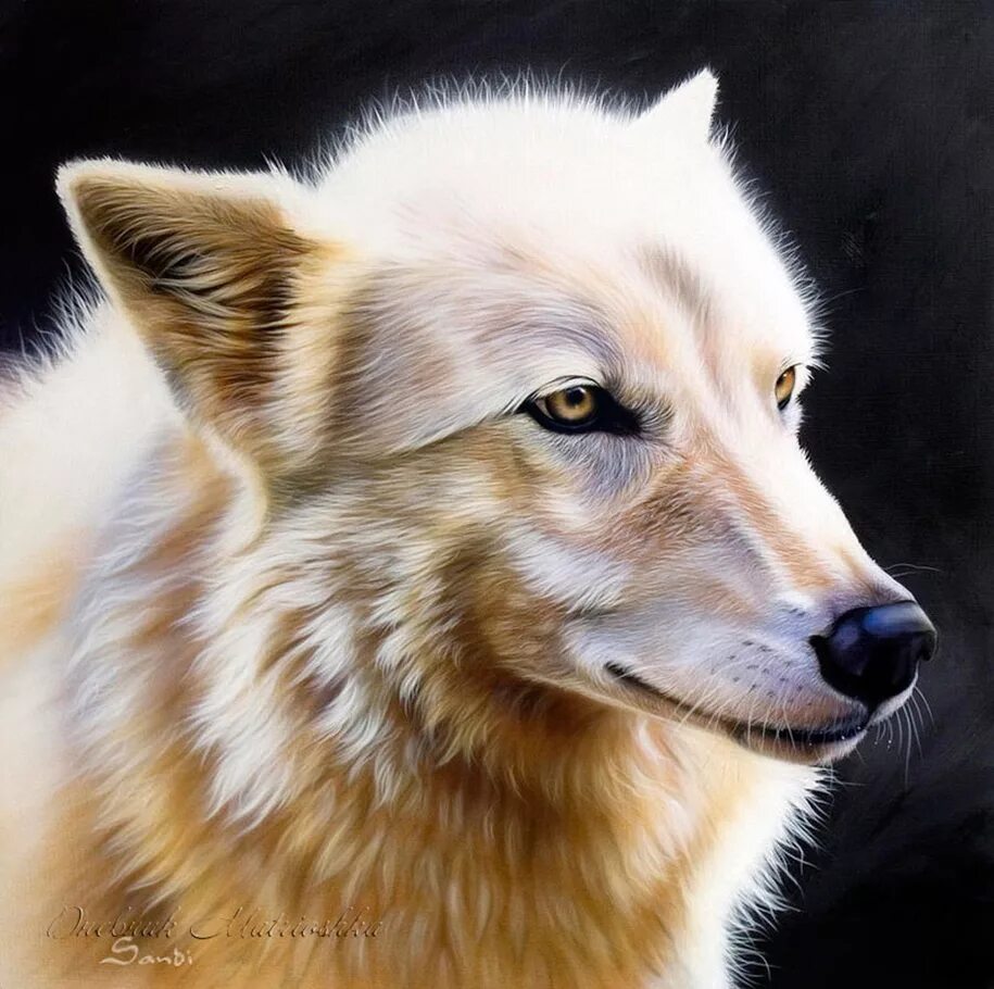 гепард пастелью. реалистичные животные. карандаши цветные "животные". реалистичные рисунки животных. бигль собака картины.