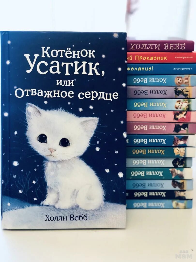 Котенок книга 3 полностью. Холм веб книга про животных. книги холли вебб про животных. книги для 10 лет холли вебб. холли вебб книги про котят.