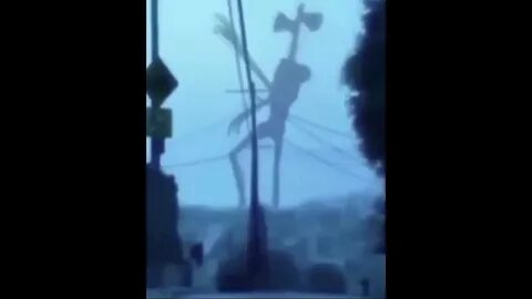 31 31 текущее видео
