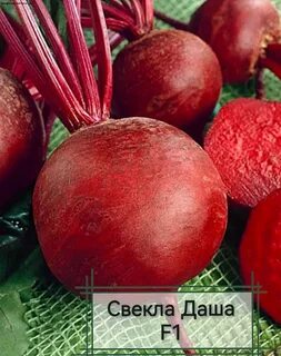 Названия свеклы красной