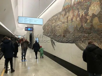 Станция нагатинский затон рыбы