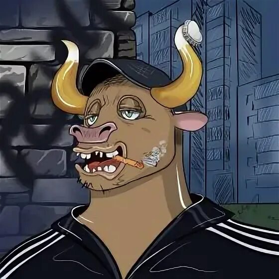 977 96. 977 96