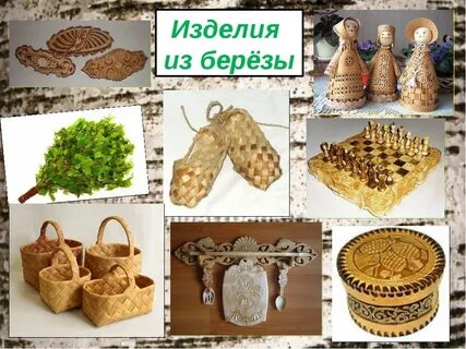 Что делают из березы