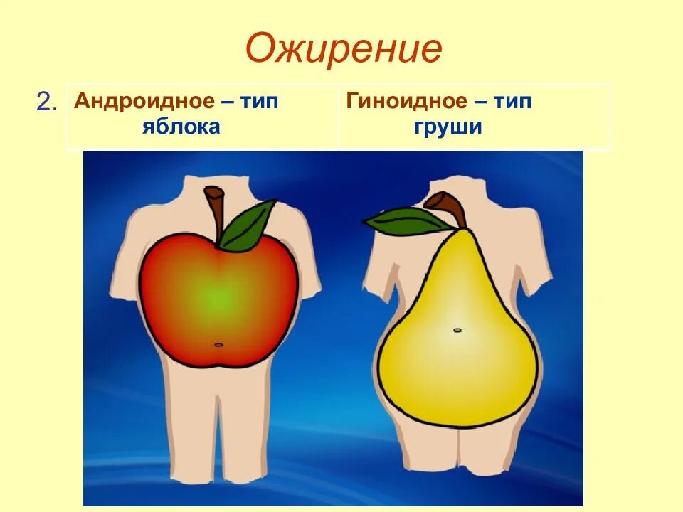 Тип яблока. Гиноидный тип ожирения груша. тип ожирения яблоко. типы ожирения яблоко и груша. ожирение по типу яблоко.