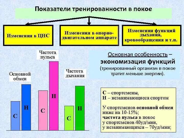 Социально-биологические основы физической культуры. Экономизация функций организма это. Тренированный организм находясь в покое расходует. В состоянии покоя организм спортсмена тратит:. Повышение тренированности