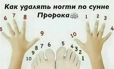 График стрижки ногтей на январь 2025 БЛАГОПРИЯТНЫЕ ДНИ ДЛЯ СТРИЖКИ В ЯНВАРЕ 2024Г фотографии
