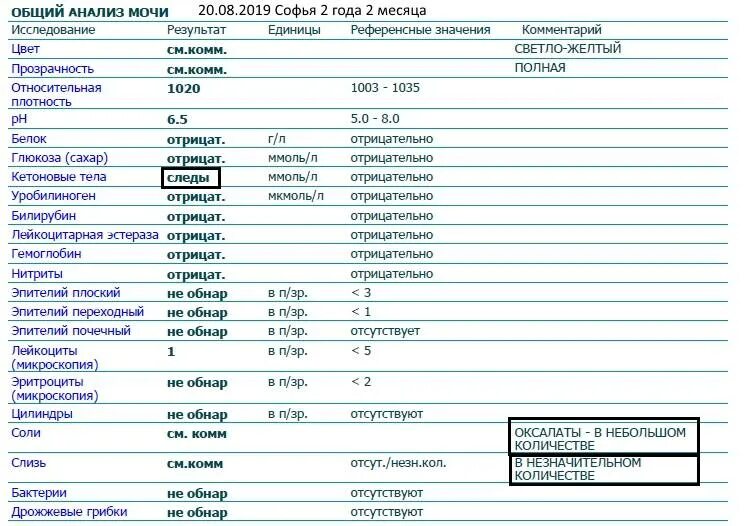 Общий анализ мочи оксалаты норма. Расшифровка анализа мочи оксалаты в моче. Анализ мочи норма соли оксалаты в моче. Анализ мочи расшифровка соли оксалаты норма.