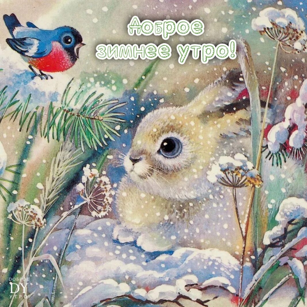 С добрым зимним утром. Дона гельсингер (dona gelsinger). Открытки зимние пейзажи с пожеланиями. Открытки с добрым утром зимние. С добрым зимним утром.
