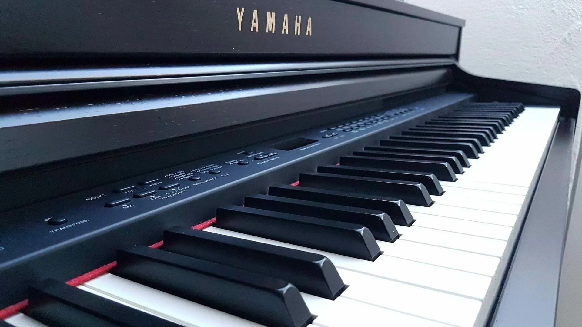 Миди-клавиатуры alesis vi61. Пианино yamaha 88. Cdp-s160bkset. Weighted keys. Weighted keys.