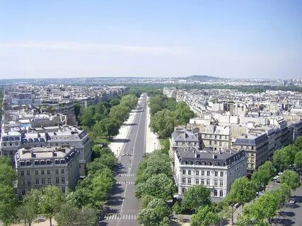 Paris avenue