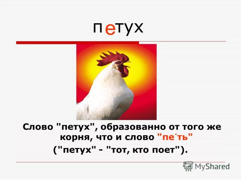 Петухи текст песни