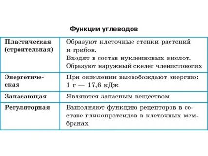 Таблица по биологии 10 класс