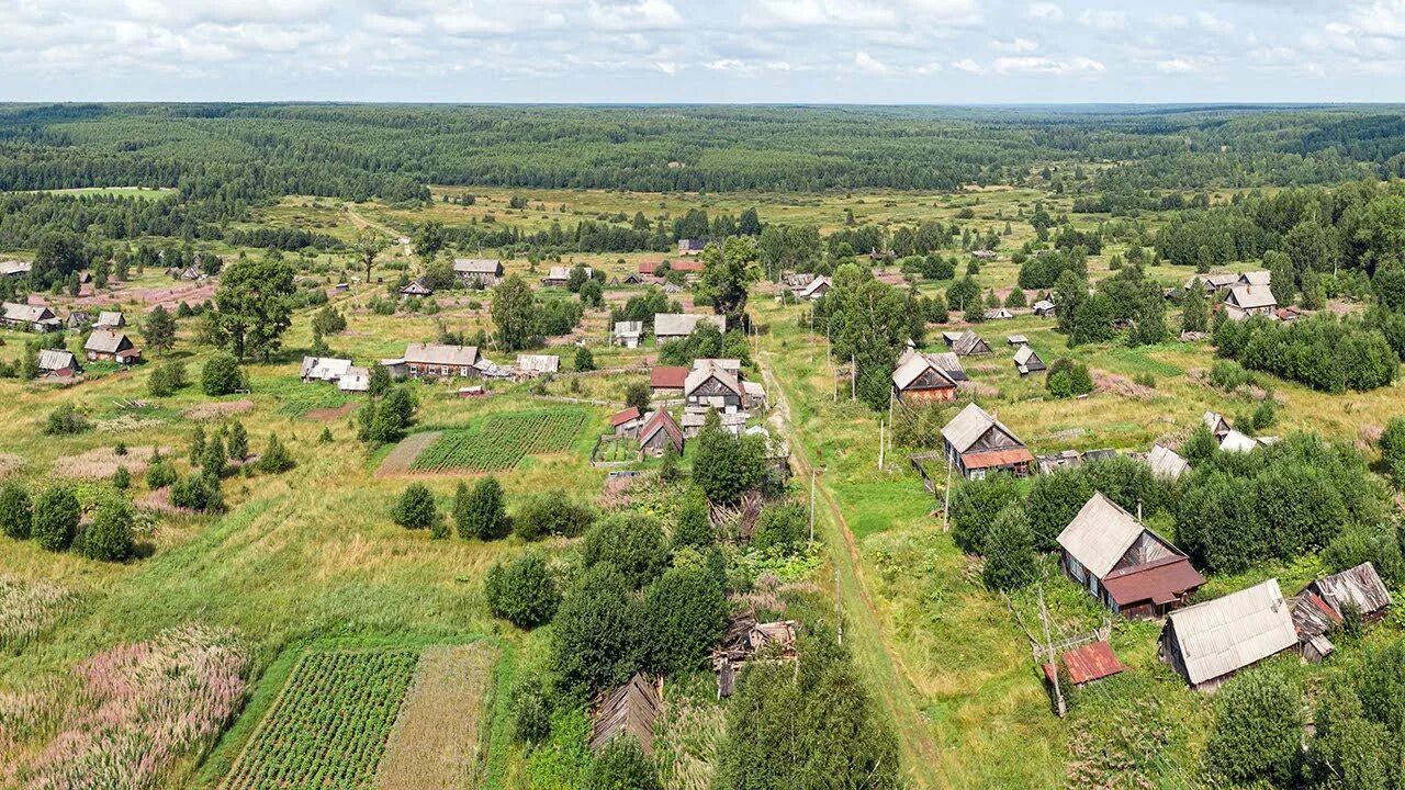 Поселок черниговский