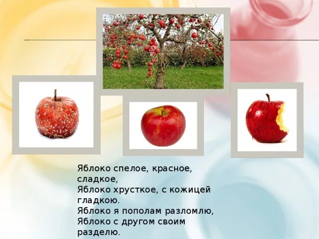 Цитаты про яблоки. Было яблочко не спело. Было яблочко не спело. Сорт яблок ворчливая бабушка. Стих про яблоко для детей 4-5.