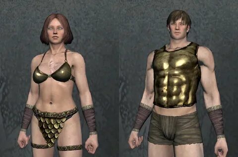 Dragons dogma mods