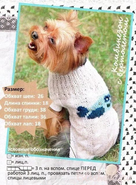 Как связать шапку для йорка спицами пошагово. Свитер для йорка описание вязаный спицами. описание вязания комбинезона для йорка спицами. свитерок для йорка спицами описание. шапочка на йорка спицами с описанием.