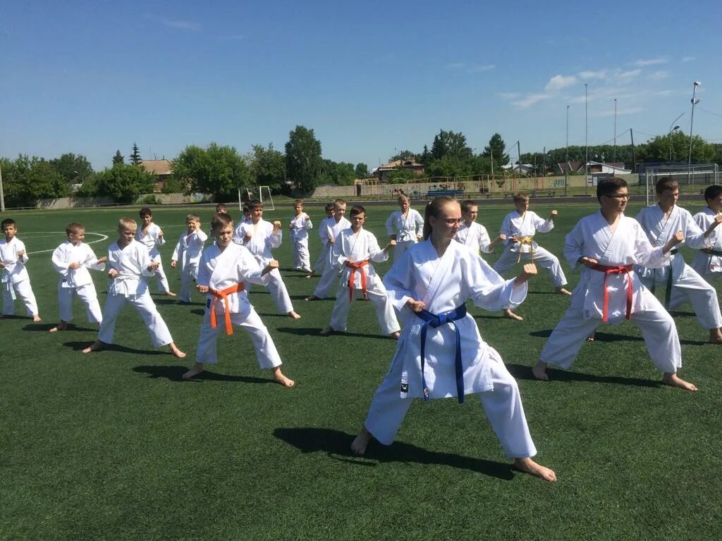 Показательные выступления карате школьники. Карате выступления. Показательные выступления каратэ киокушинкай. Показательные выступления каратистов. Карате выступления.