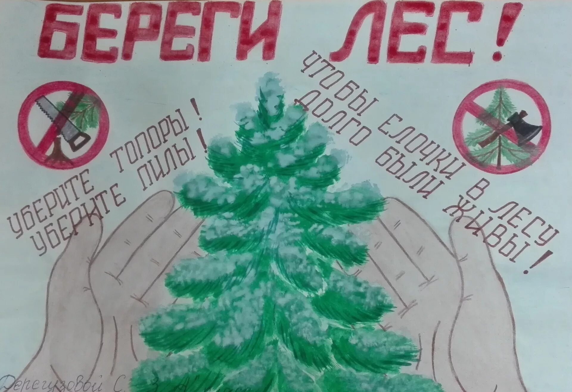 Берегите ели рисунки. Листовки в защиту елок. плакат в защиту ели. листовка в защиту хвойных деревьев. плакат в защиту хвойных деревьев.