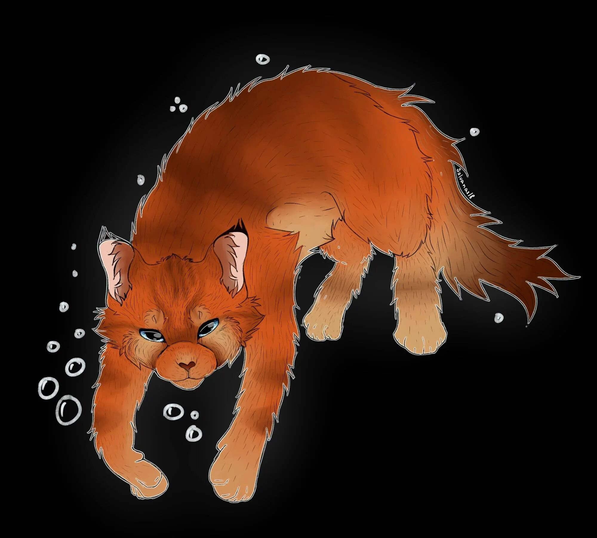 Приложение коты воители. Коты воители мейкер персонажа. Приложение коты воители. Коты воители вельвет. Коты воители верескоглазка.