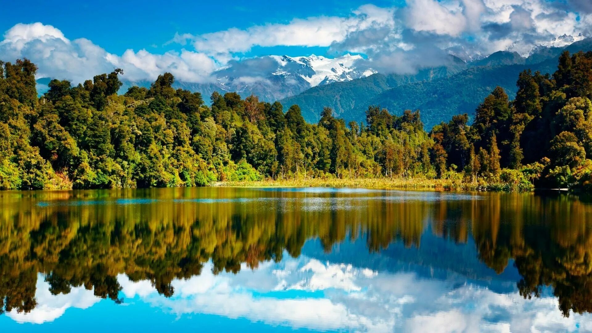 Фото. Озеро Рица. Озеро Рица Абхазия. Новая Зеландия. Новая Зеландия природа лес.