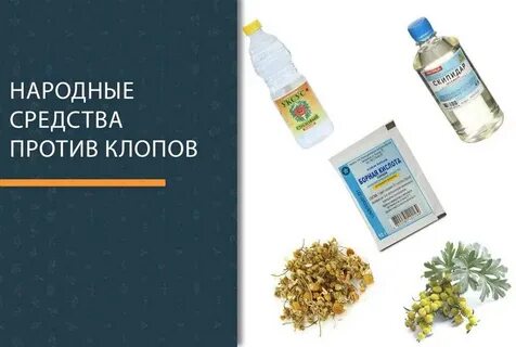 От клопов средства в квартире самостоятельно эффективные