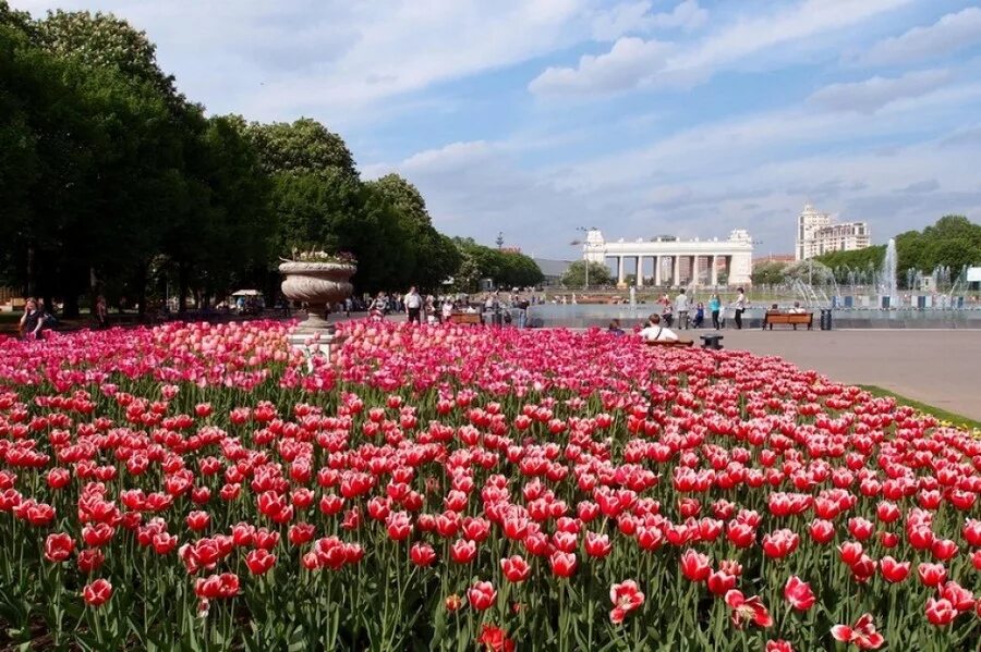 Крымский вал парк горького. Парк культуры им Горького. Парк имени м Горького Москва. Парк имени Горького Моска. ЦПКИО им Горького Москва.