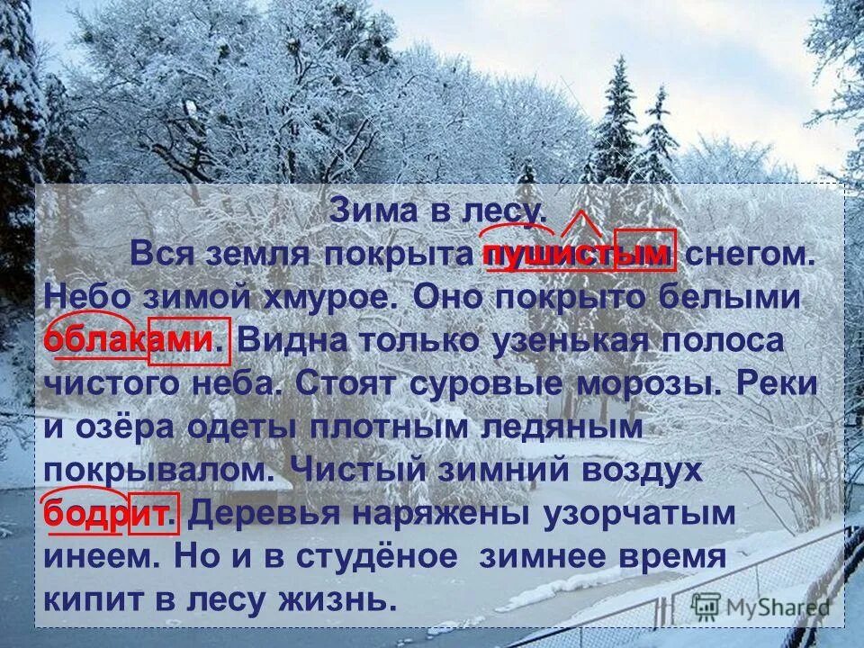 Предложение из слов зима снег пушистый. Сочинение зима в лесу 4 класс. Предложение зимой в лесу. Сочинение на тему зимой в лесу. Стоят суровые Морозы реки и озера.