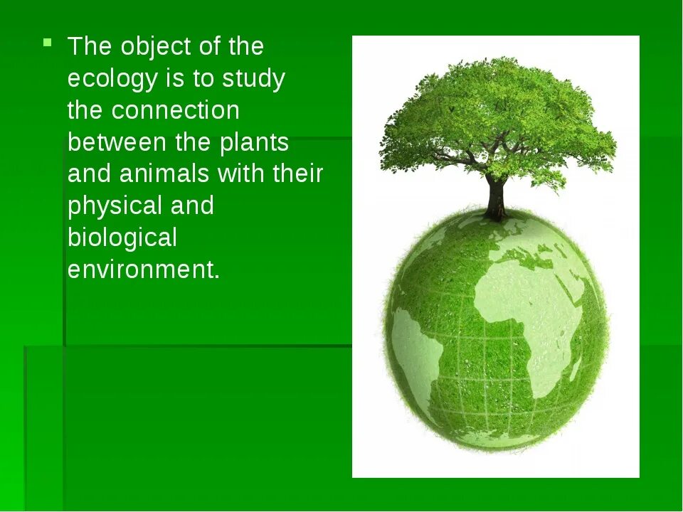 Ecology is. Ecology study. Ecology презентация на английском. Урок по английскому языку ecology.