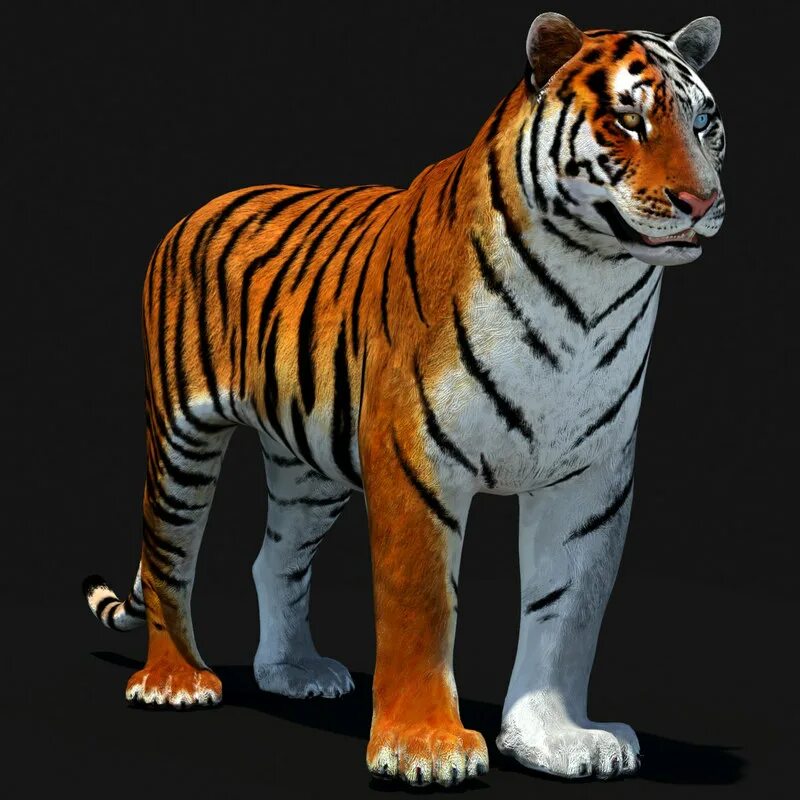 Тигр 3 тигр 3 танк. Tiger iii е 100. Тигр 3д модель. Tiger iii е 90. Тигр 3.