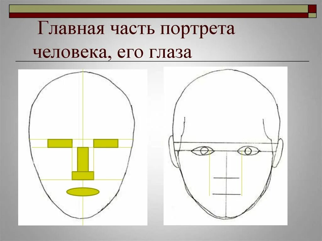 Лицо часть головы человека. Конструкция головы человека. Конструкция головы человека и ее пропорции. Конструкция головы человека изо. Конструкция головы чкловека и её пропорции.