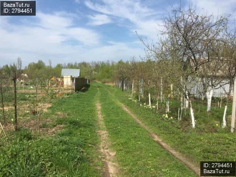 Снт березовая роща московская область. Снт березовая роща ленинградская область. Кобралово. Дом в роще. Снт березовая роща барнаул e jpthf.