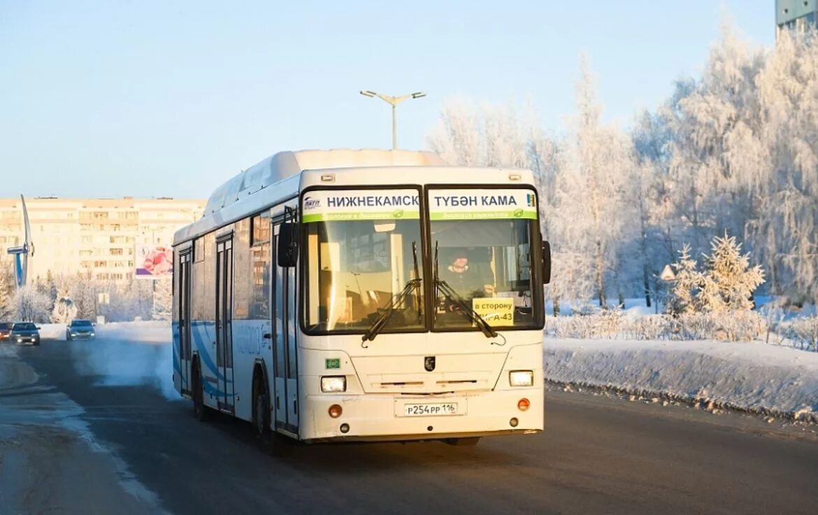 Транспорт нижнекамск автобус. Автобусы Нижнекамск ПАТП 2021. Нижнекамск автотранспорт. Автопарк Нижнекамск. Нижнекамск автобусы новые мэр города.